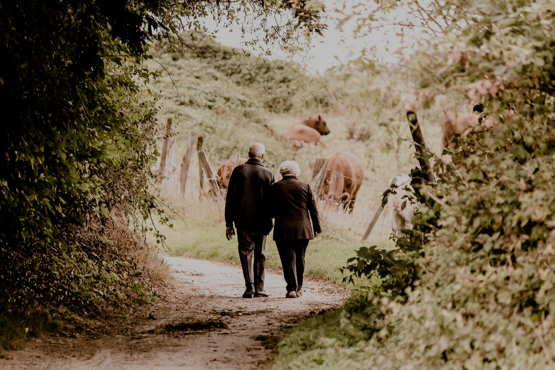 Deux personnes âgées se baladant dans la campagne