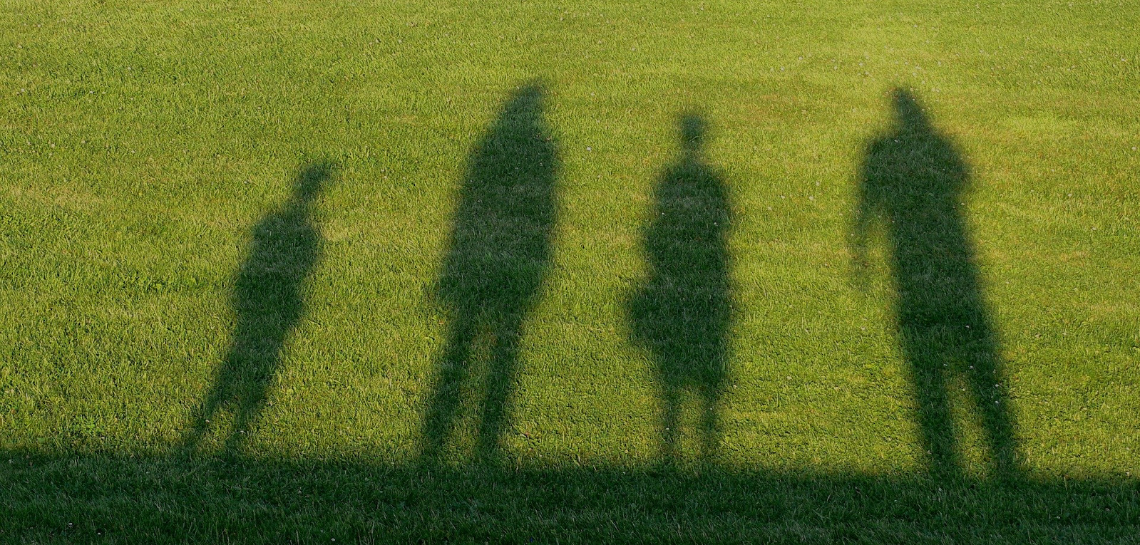 Les ombres sur la gazon de quatre personnes debout